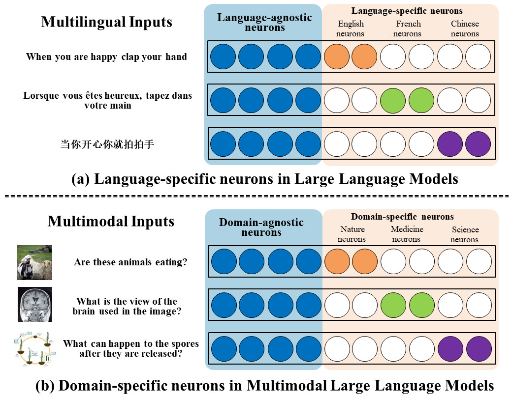 MMNeuron framework