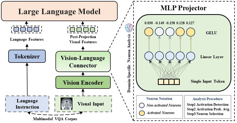 MMNeuron neuron-level interpretation illustration